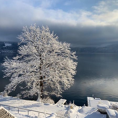 Seehaus Weiss Rothenthurn المظهر الخارجي الصورة