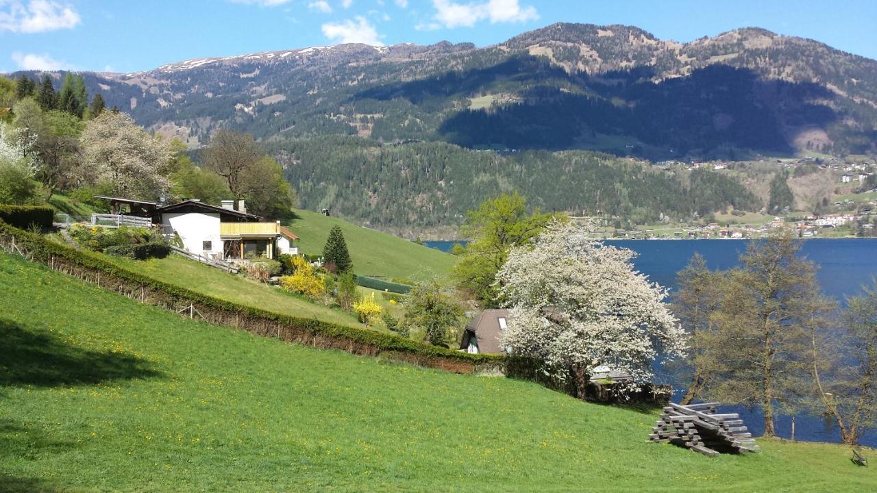 Seehaus Weiss Rothenthurn المظهر الخارجي الصورة