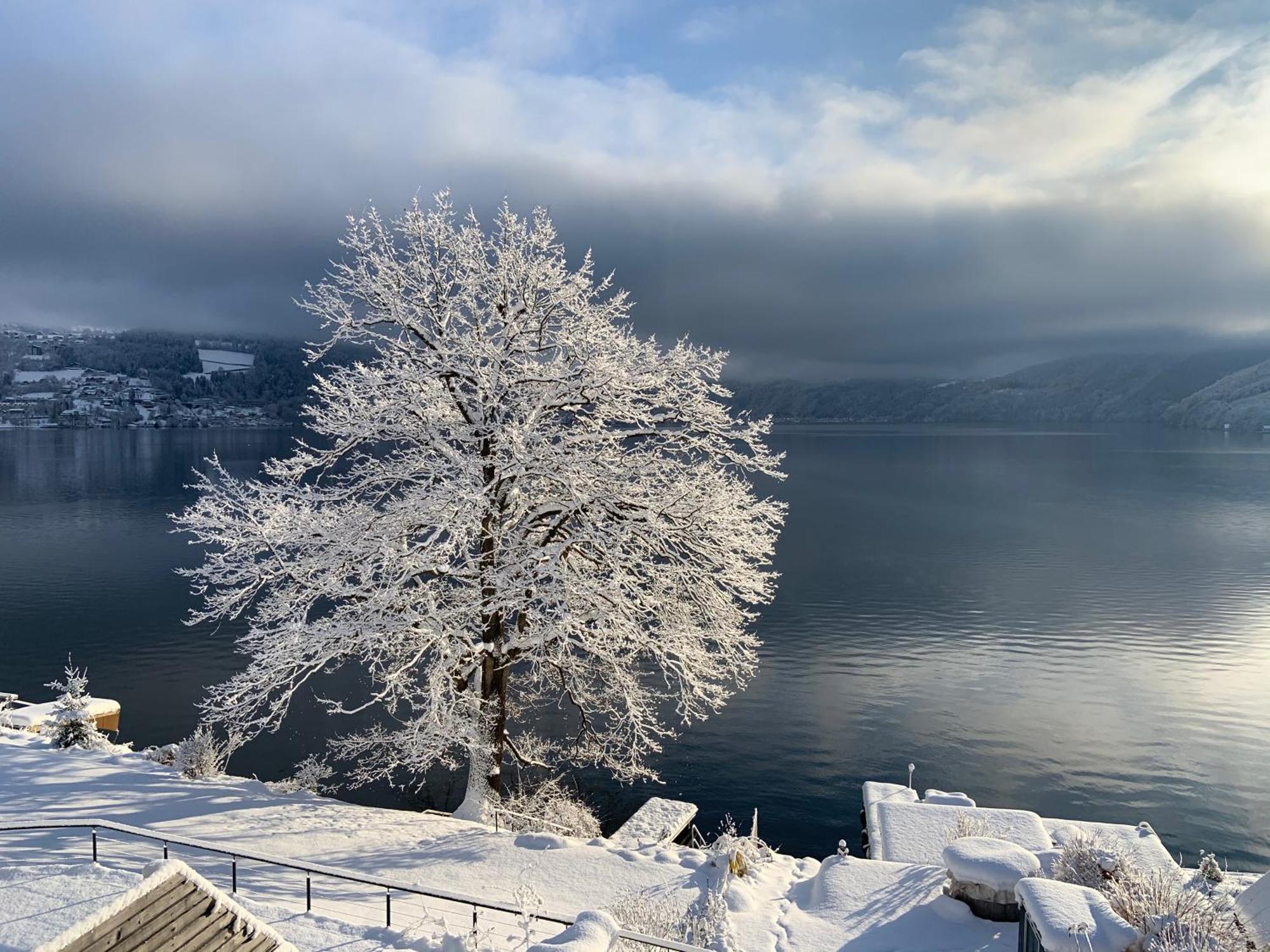 Seehaus Weiss Rothenthurn المظهر الخارجي الصورة